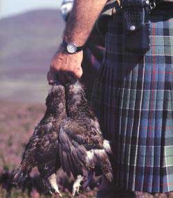 Jagen in Schottland